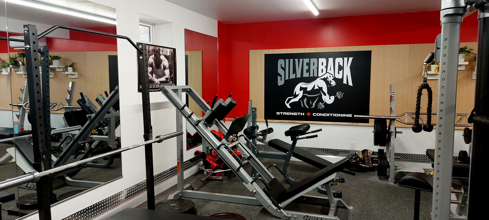 Silverback Gym | Sands on Golden Lake
