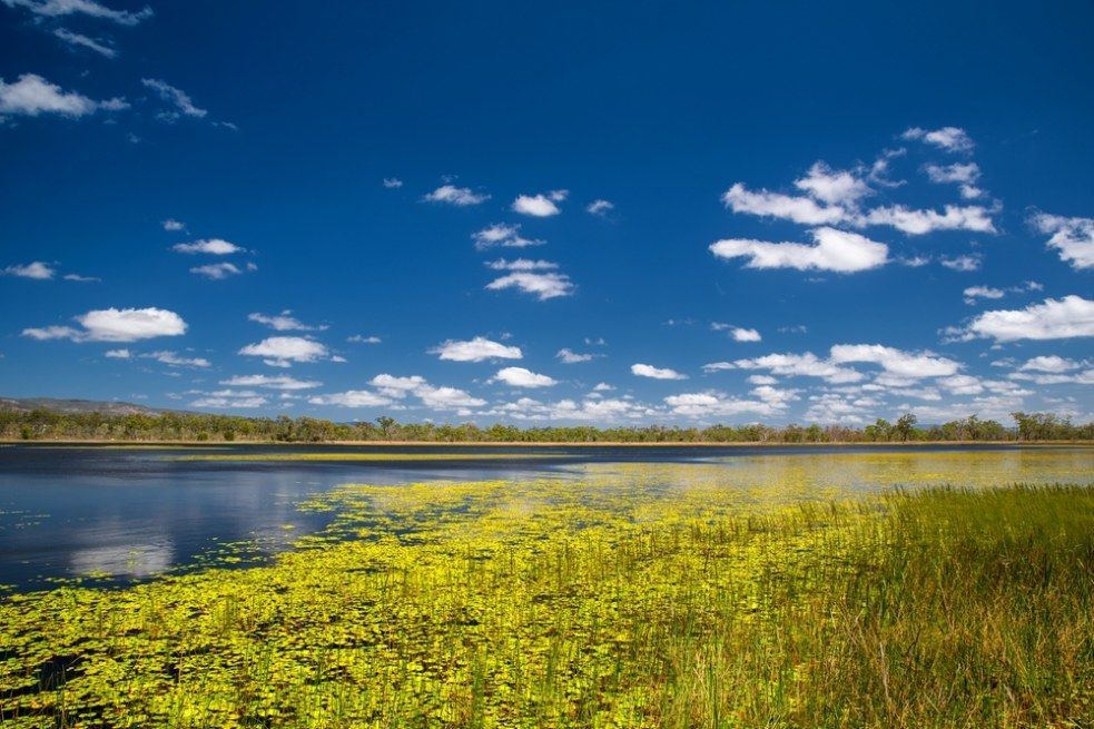 Bright Blue Sky With White Fluffy Clouds Above a Lake — All Grind & Coat in Port Douglas, QLD