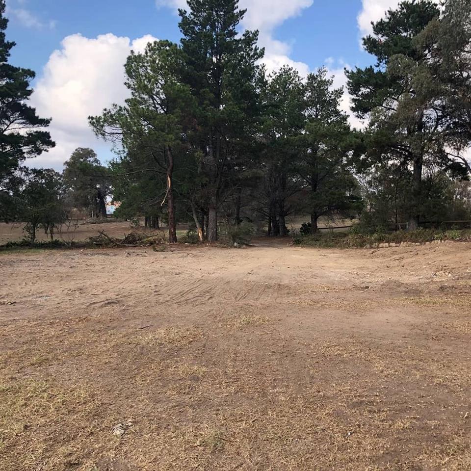 Wide vacant lot with trees | Sydney, NSW | M & M Demolition Pty Ltd
