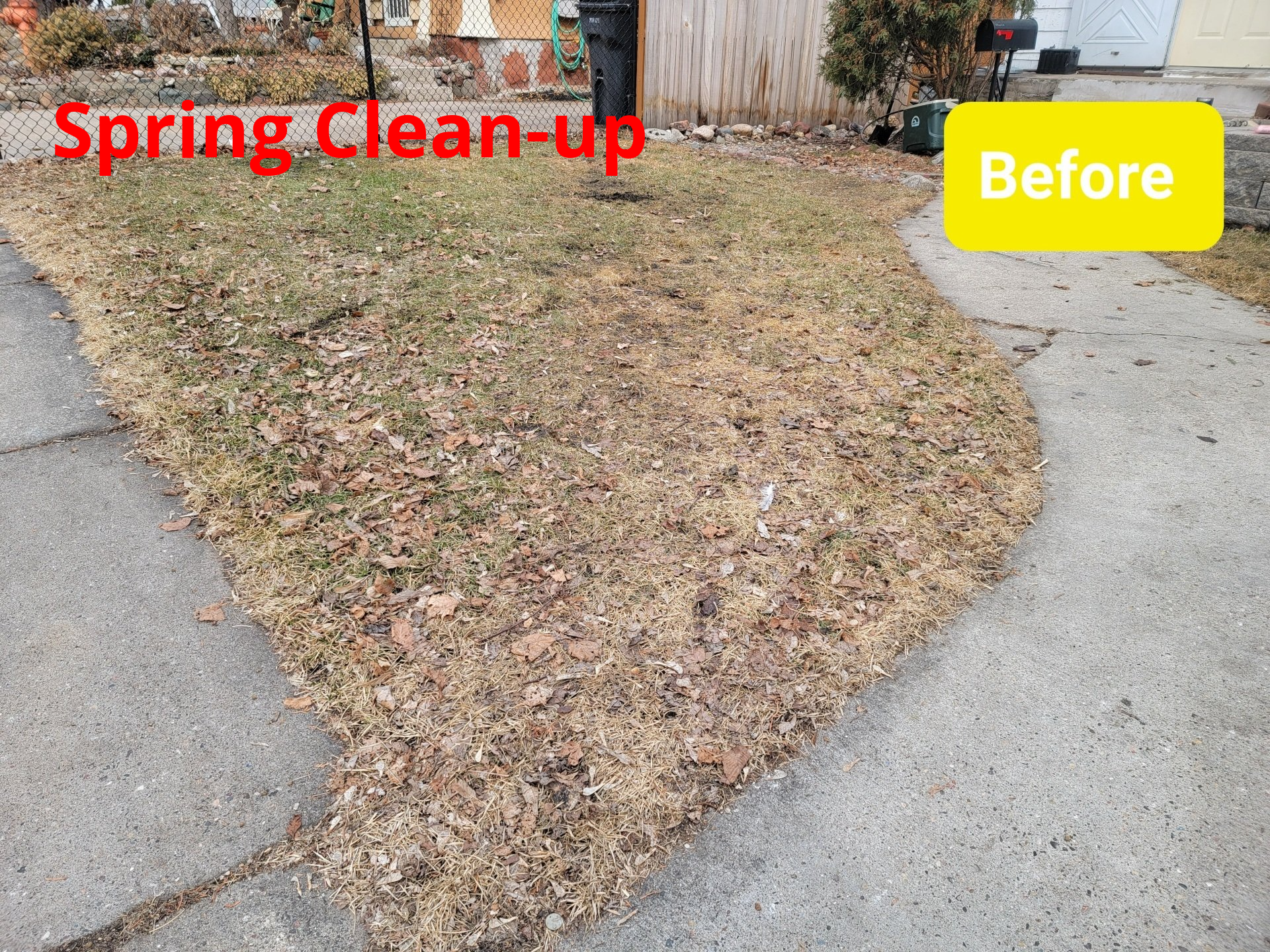 Spring Clean up