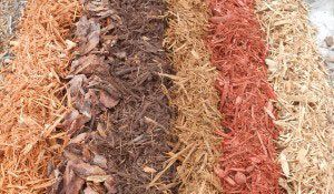 High Quality Mulch from Bjorklund variety-mulch- Bjorklund