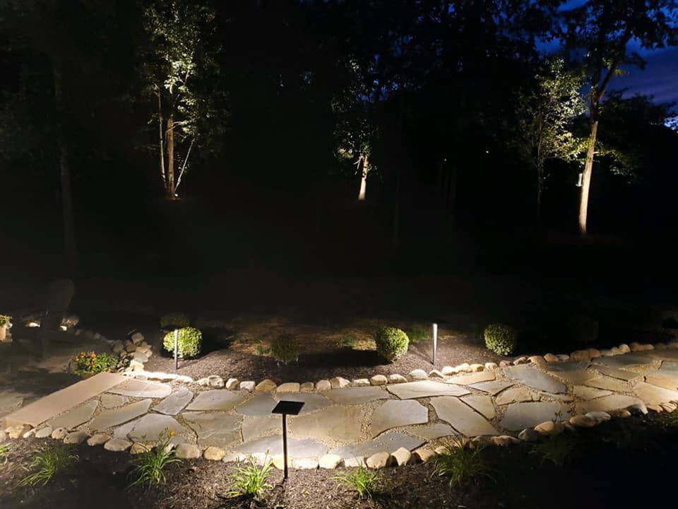 Night garden path with illuminated stone walkway and spotlit trees