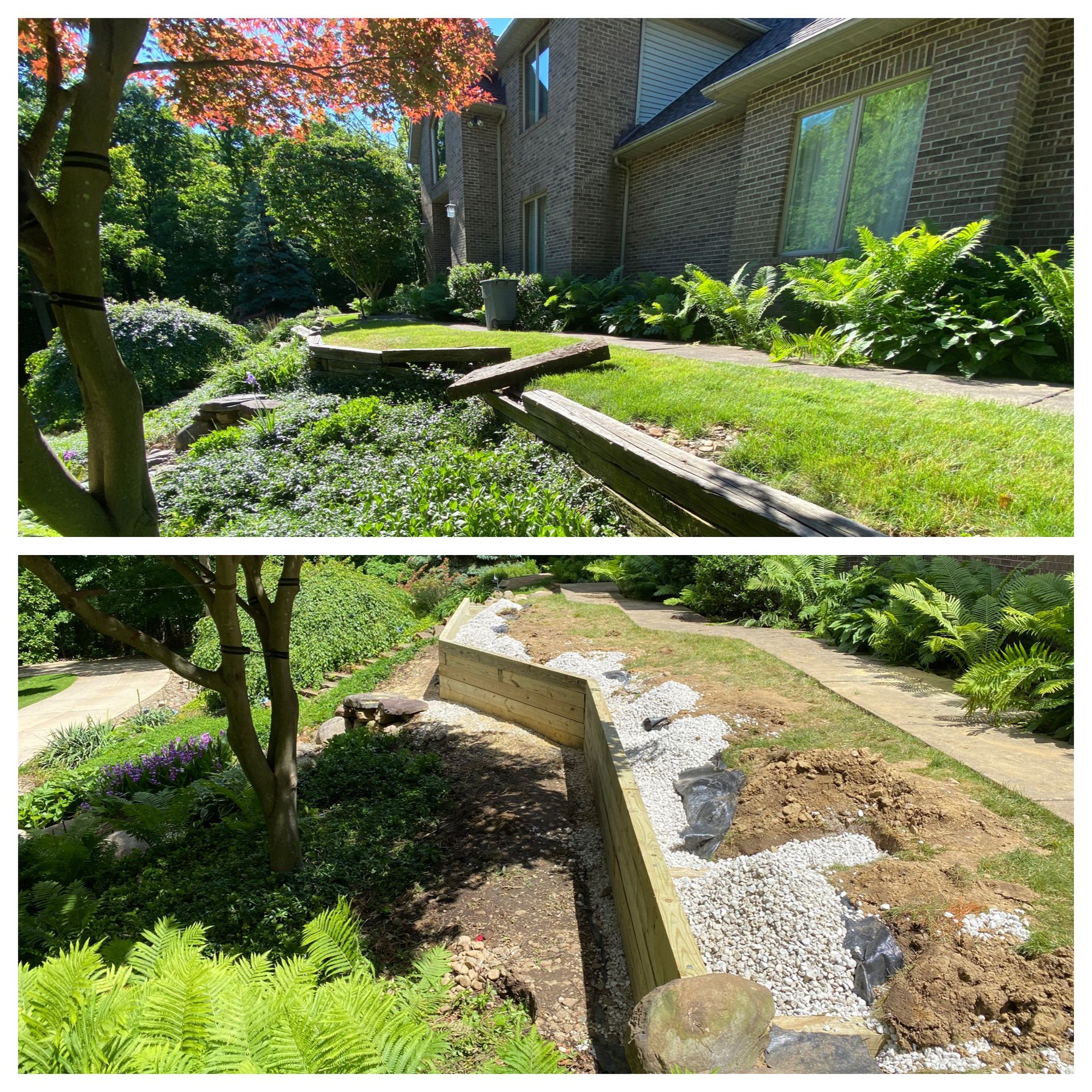 Split view of a sunny garden beside a brick building, showing a stone-lined path and greenery