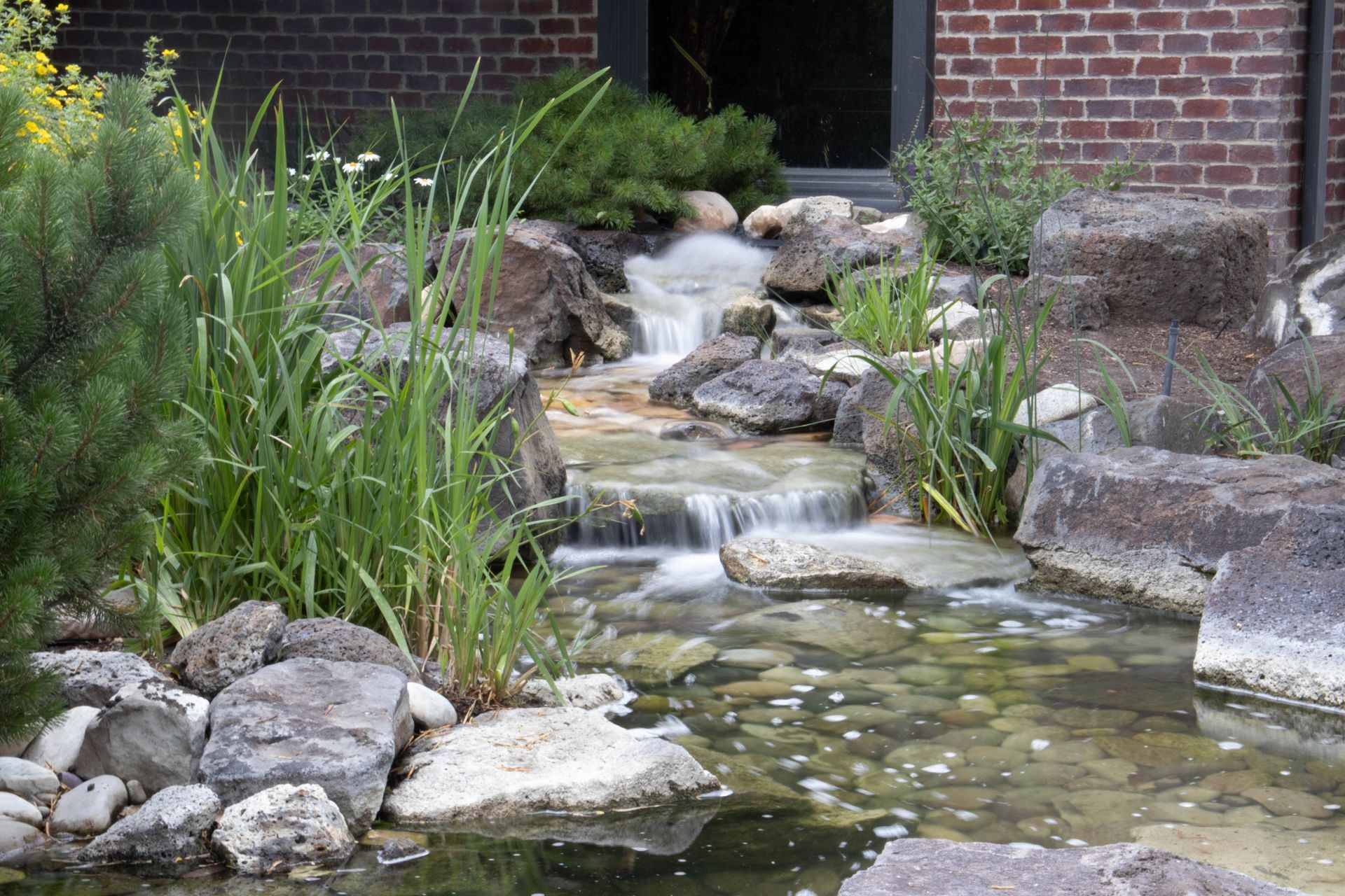 Small backyard pond with a stone waterfall, rocks, and tall green plants beside a brick wall