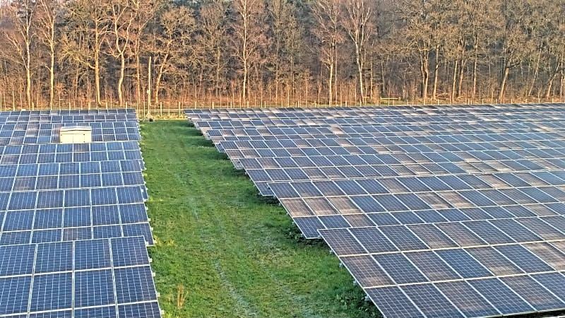 Rijen zonnepanelen in een grasveld met bomen op de achtergrond.