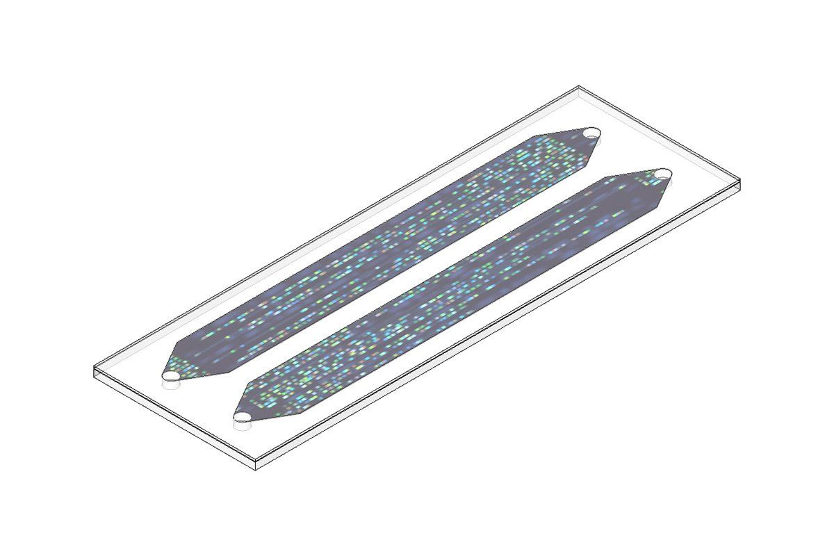 Flow Cell Technology