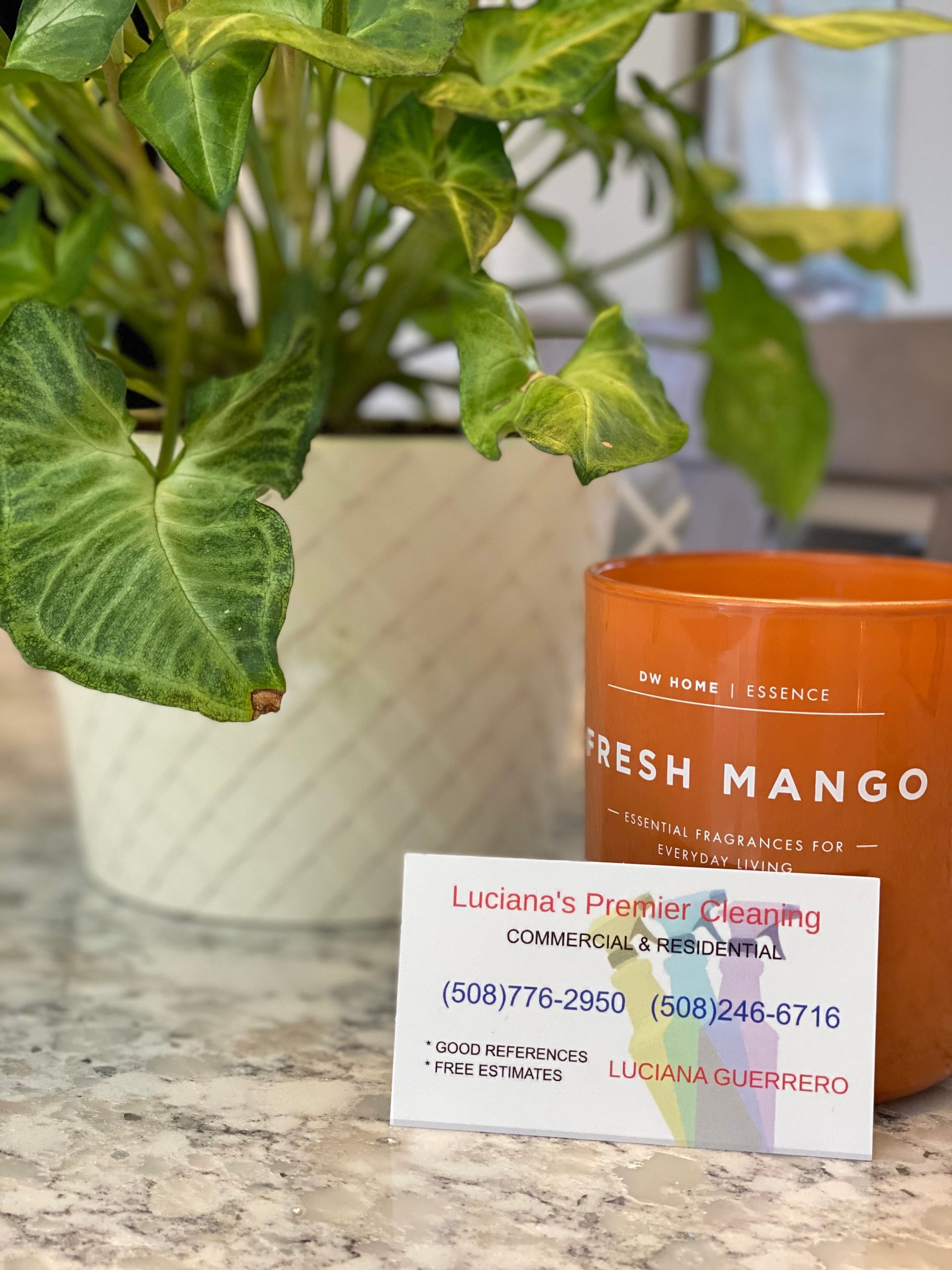 Orange Fresh Mango candle beside a potted green plant on a marble countertop, with a small sign in front