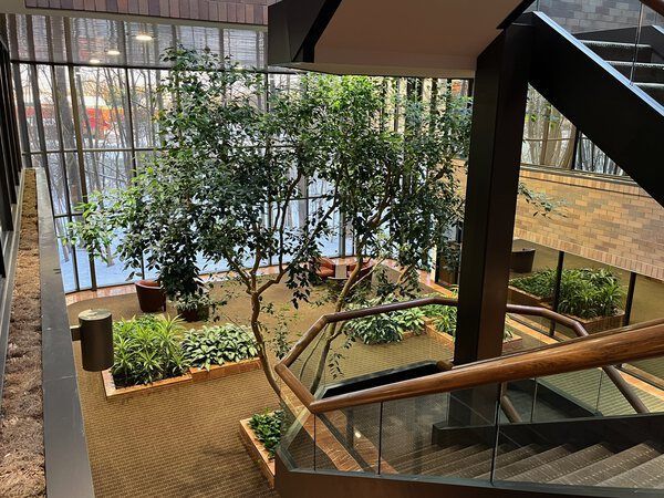 Indoor atrium with large tree and greenery, visible from upper level, stairs in foreground.