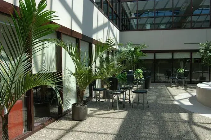 Indoor atrium with palm trees in large pots, chairs, and glass ceiling for natural light.