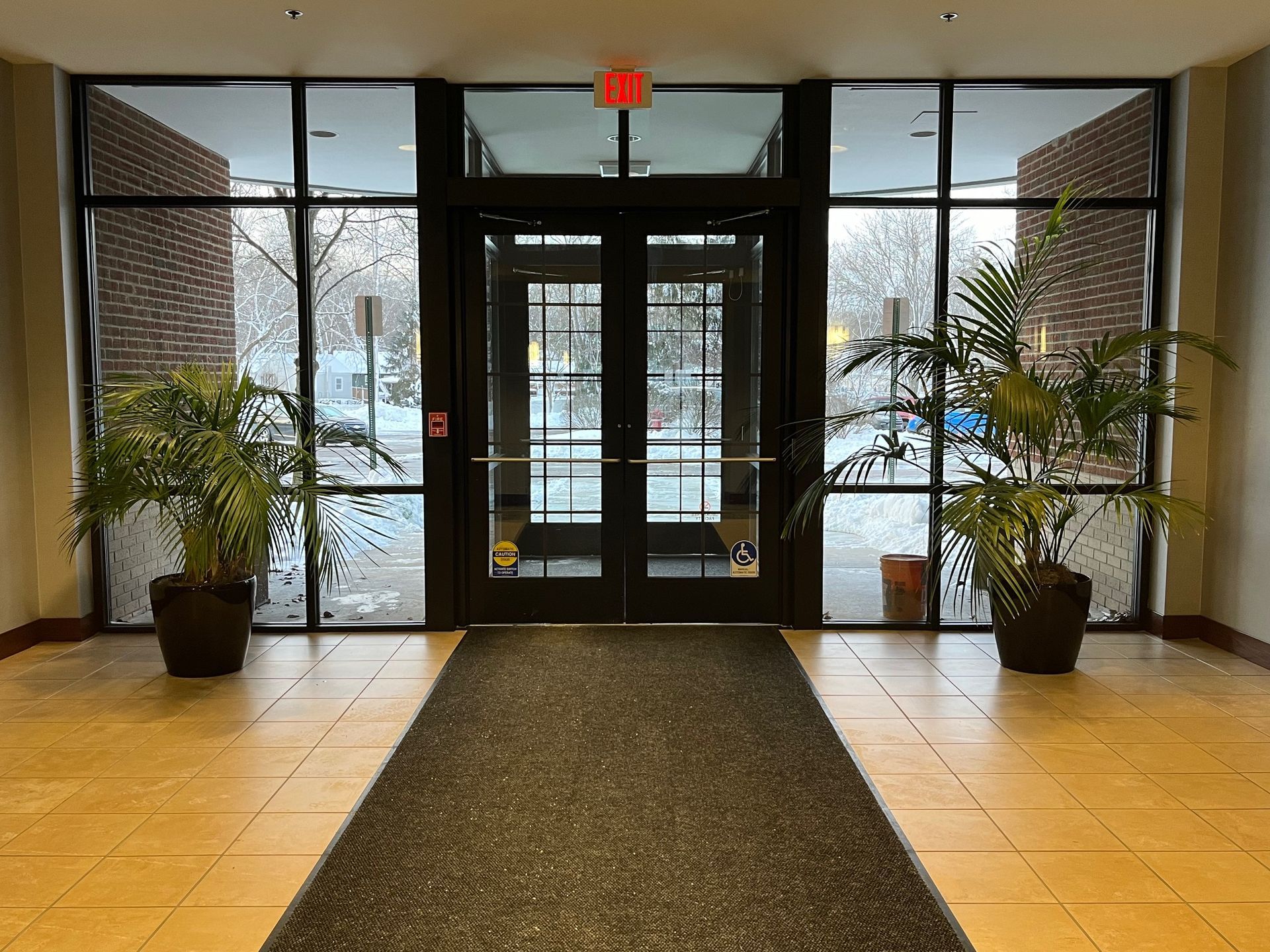 Double doors with glass panes and a rug leading to the outside, flanked by potted plants.