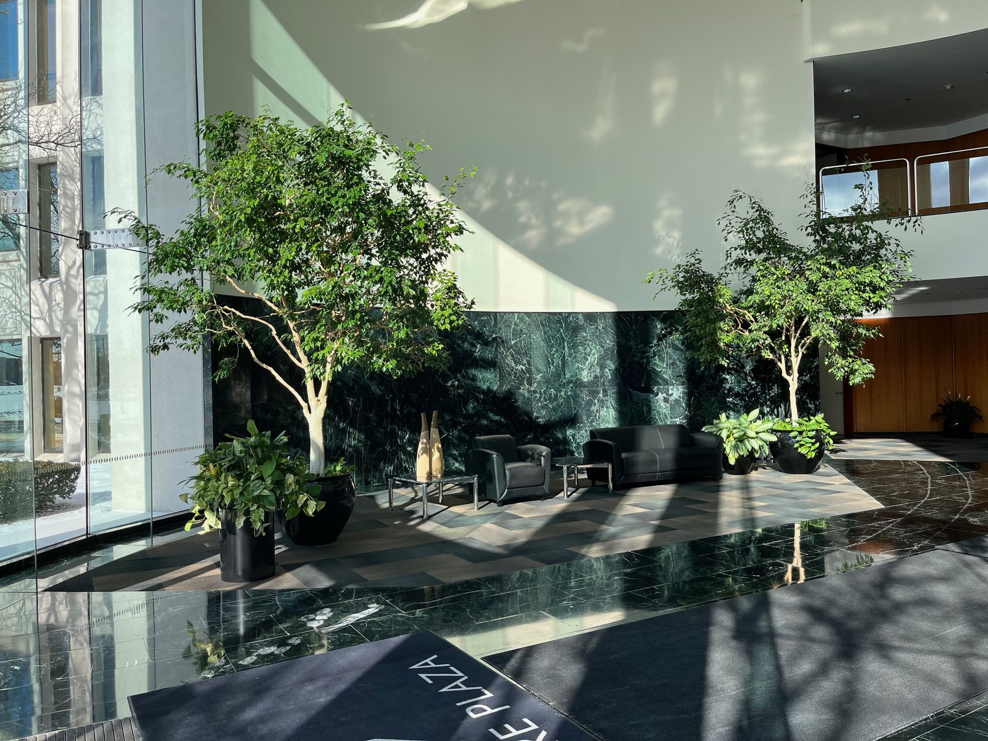 Lobby with trees in black pots, two black chairs, dark marble floor.  Large window to the left.
