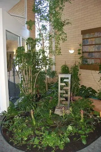 Indoor garden with diverse greenery, small fountain, brick wall, and tall windows.
