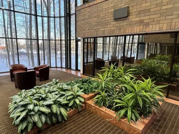 Interior with plants, seating, large windows overlooking a snowy landscape. Brick wall and carpeted floor.