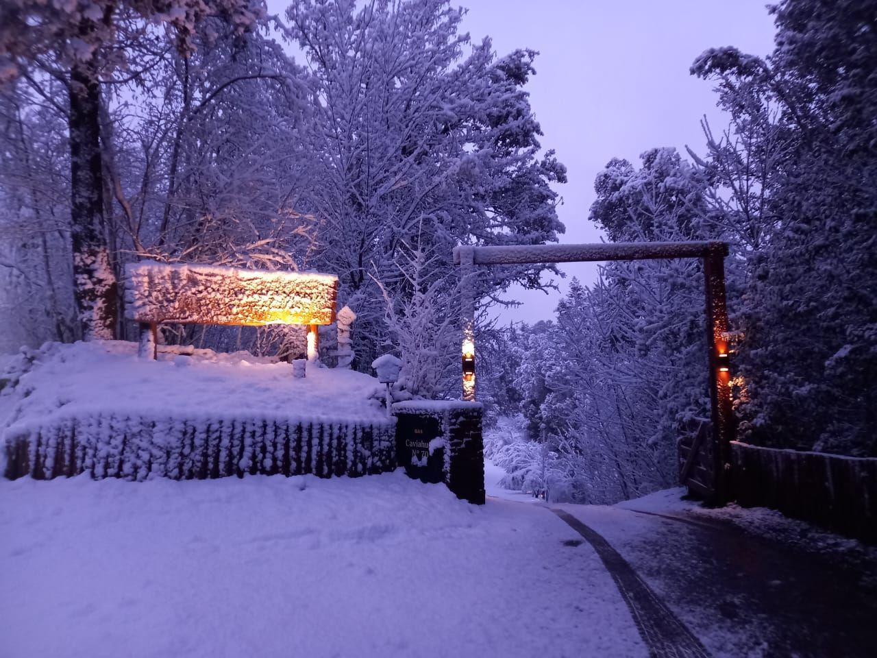 Un letrero de madera brillante, cubierto de nieve, se alza en medio de un bosque al anochecer, con los árboles cubiertos por una gruesa capa de nieve fresca.