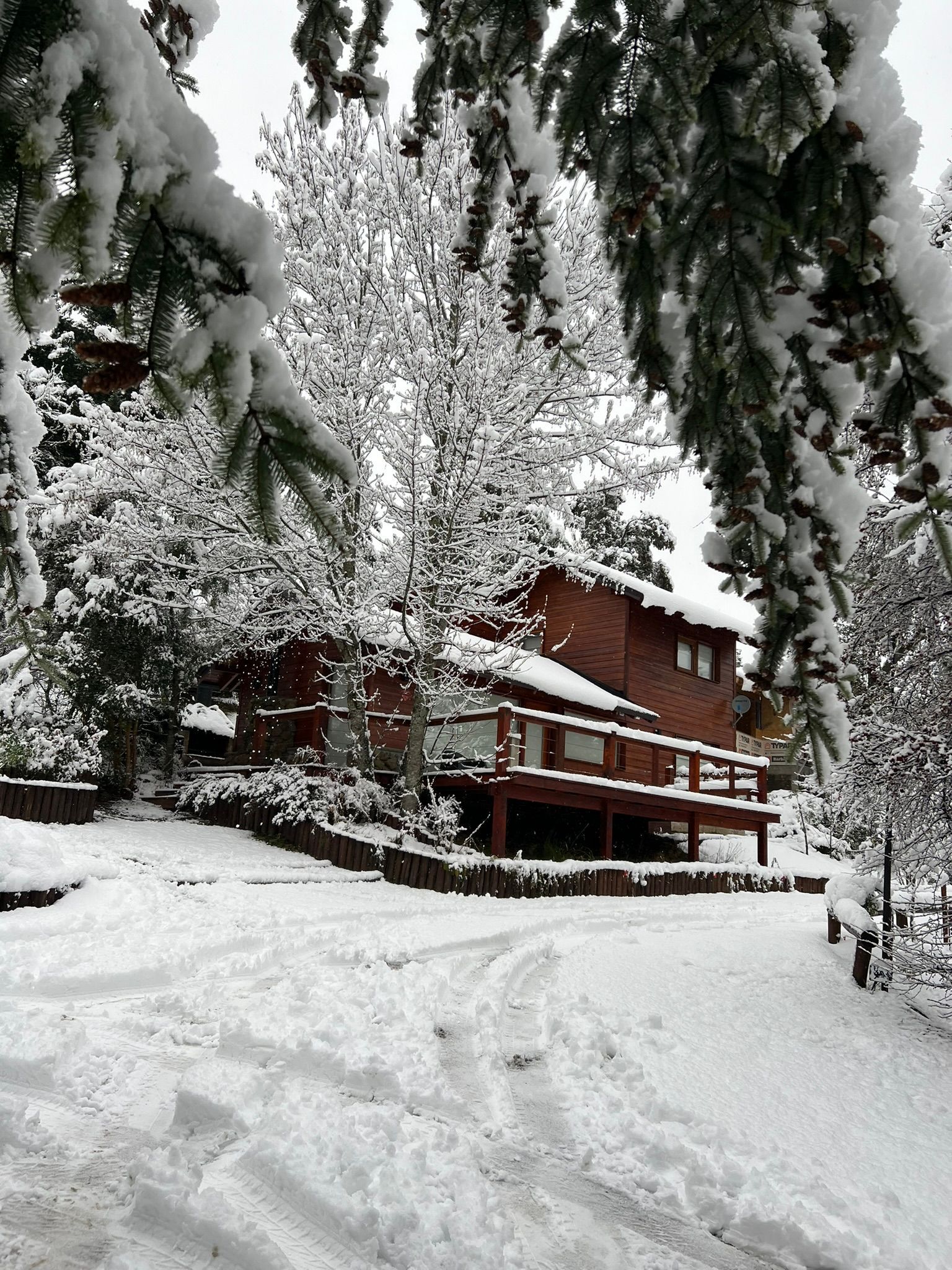 Una cabaña de madera escondida entre árboles cubiertos de nieve en un día de invierno, con huellas en la nieve que conducen hacia la terraza.