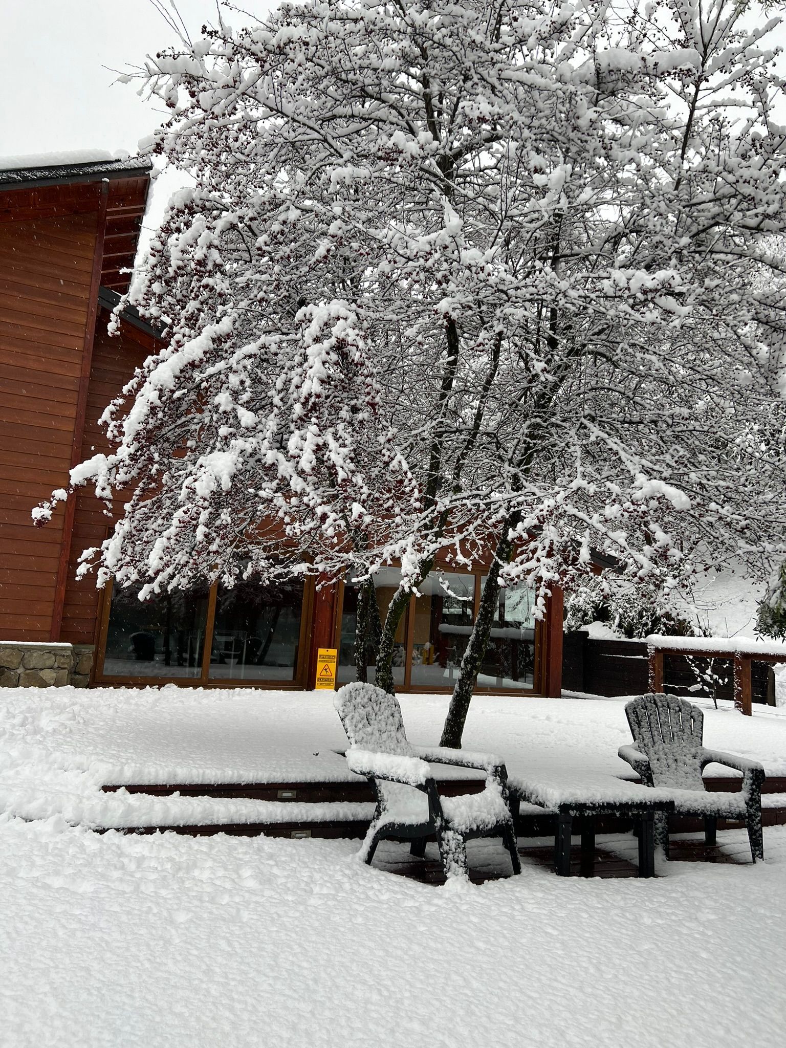 Un árbol cubierto de nieve se alza en un jardín frente a un edificio rojo, con dos sillas sobre una terraza nevada.