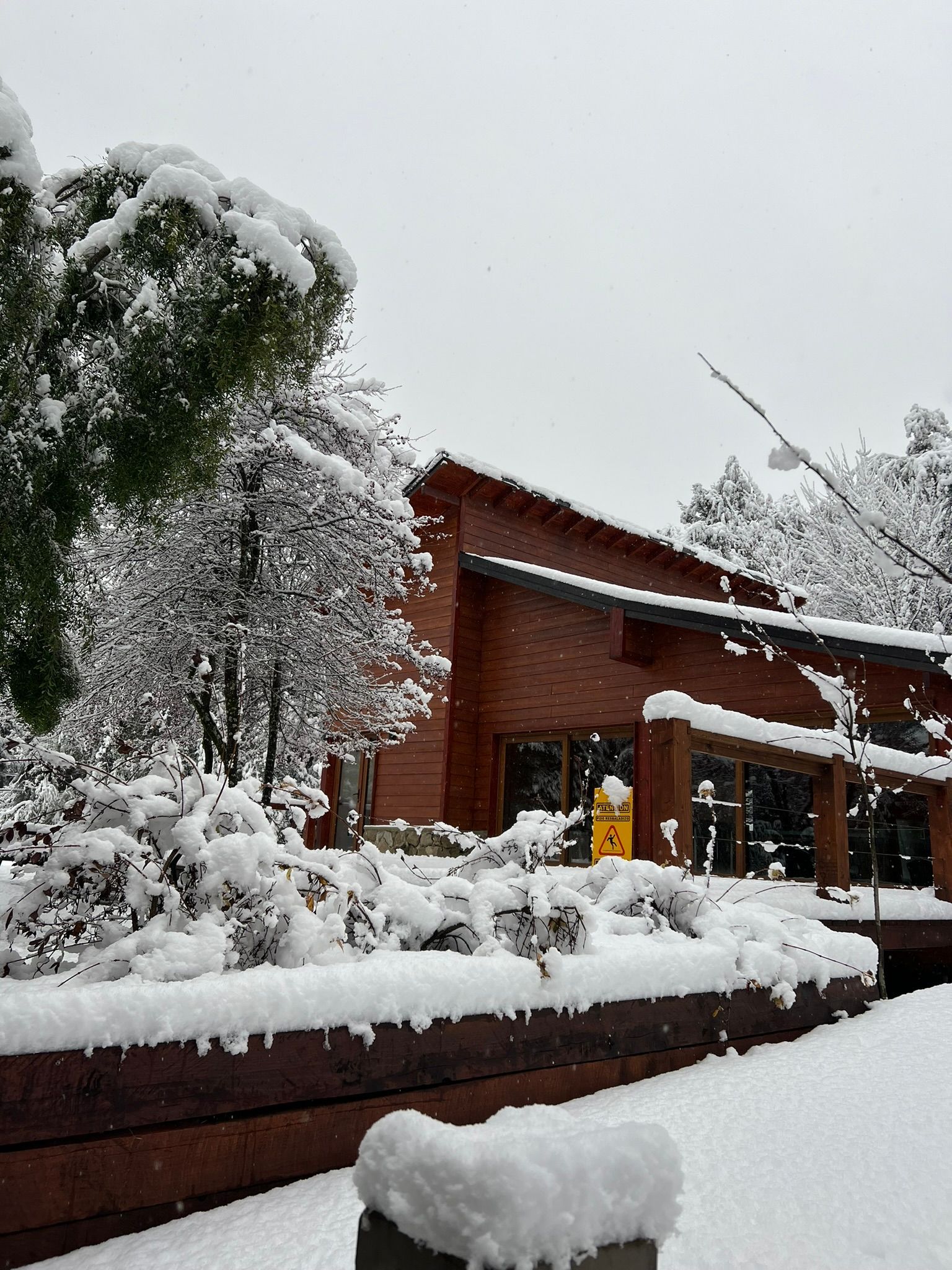 Un edificio de madera rodeado de árboles cubiertos de nieve y un paisaje cubierto de nieve blanca y fresca.