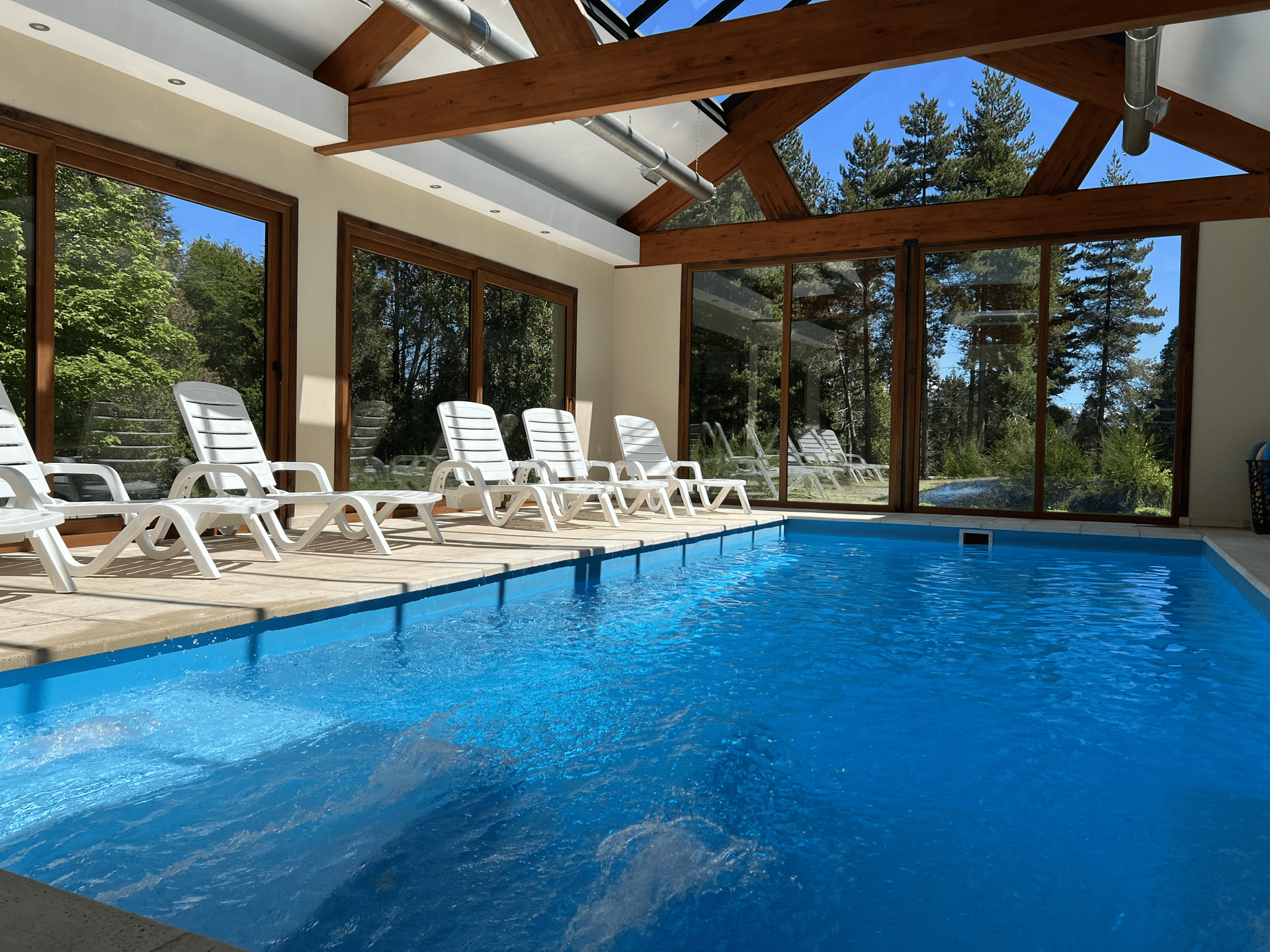 Piscina cubierta con tumbonas, grandes ventanales y vigas de madera en el techo, con vistas a un bosque soleado.