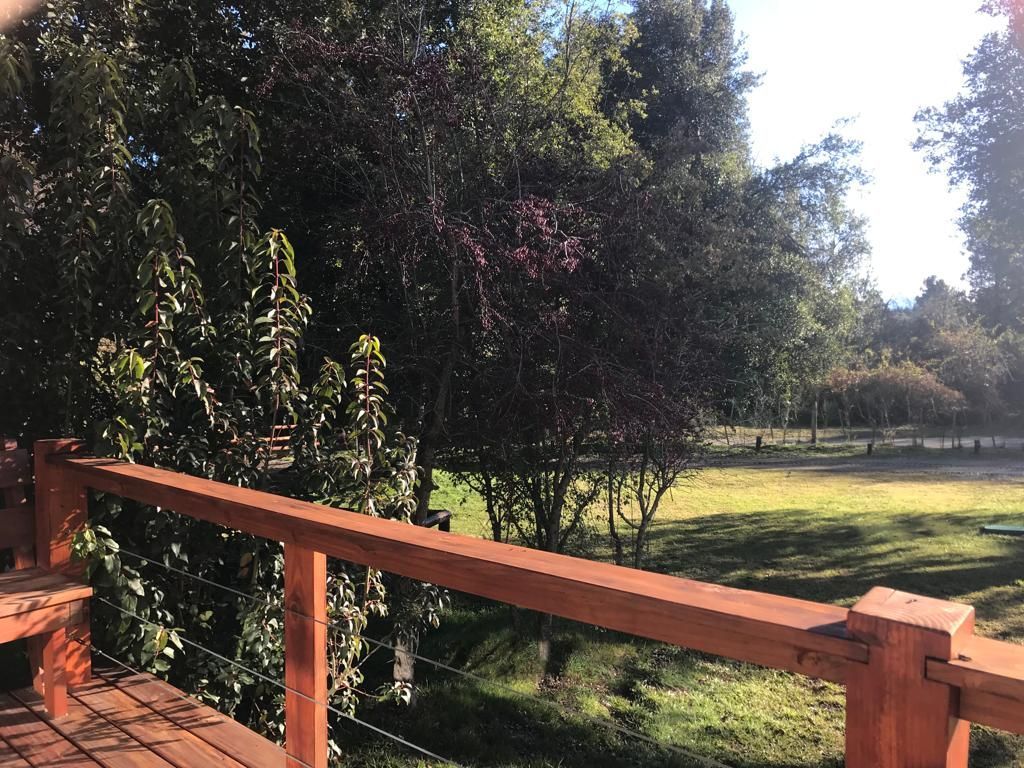 Una barandilla de madera en la terraza ofrece vistas a un patio trasero cubierto de césped, repleto de frondosos árboles de hojas verdes y moradas, bañado por la brillante luz del sol.