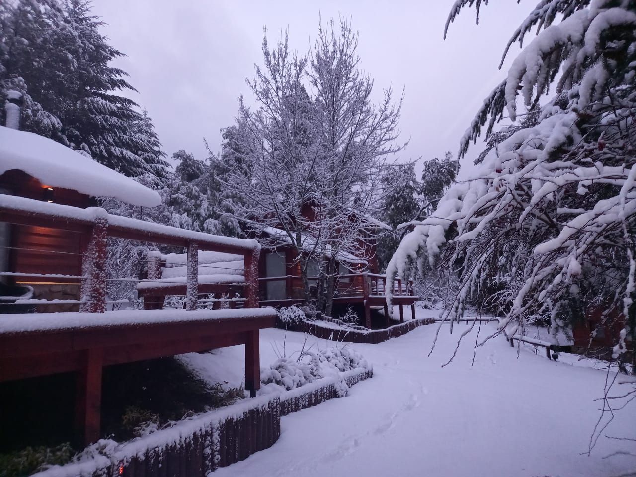 Una cabaña de madera con un porche cubierto de nieve, rodeada de árboles nevados en un día de invierno.