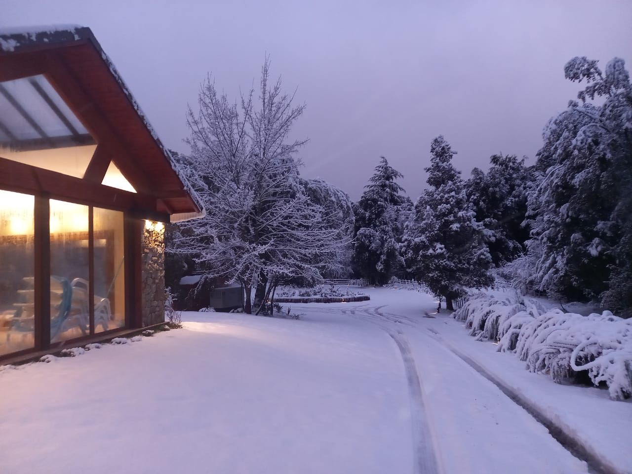 Una moderna cabaña de madera con ventanas iluminadas da a un patio nevado y a un bosque bajo un cielo invernal suave, teñido de púrpura, al anochecer.