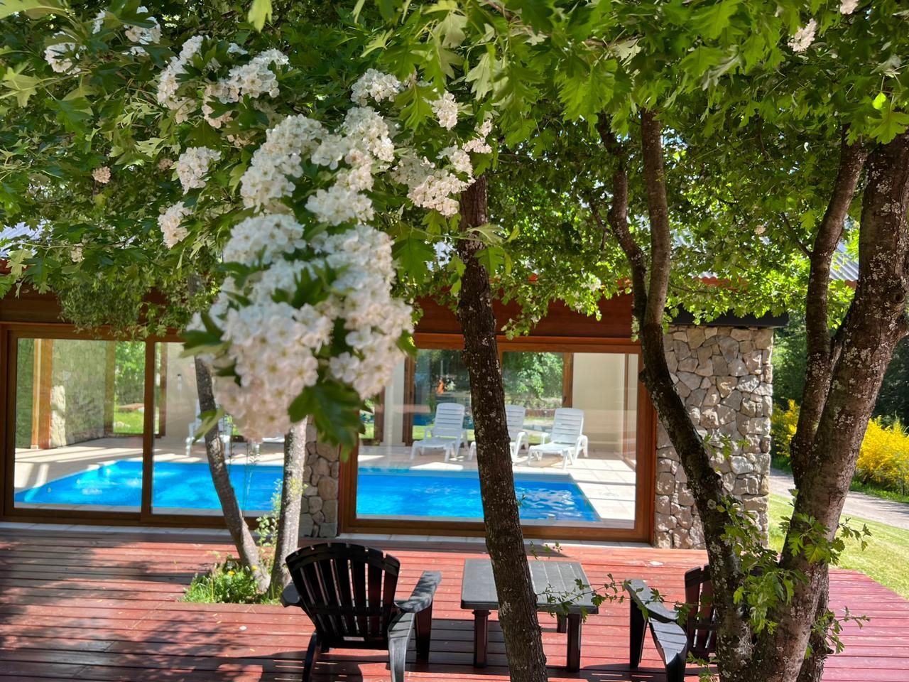 Un patio soleado con terraza de madera, asientos al aire libre y vistas a la piscina, enmarcado por un espino blanco en flor.