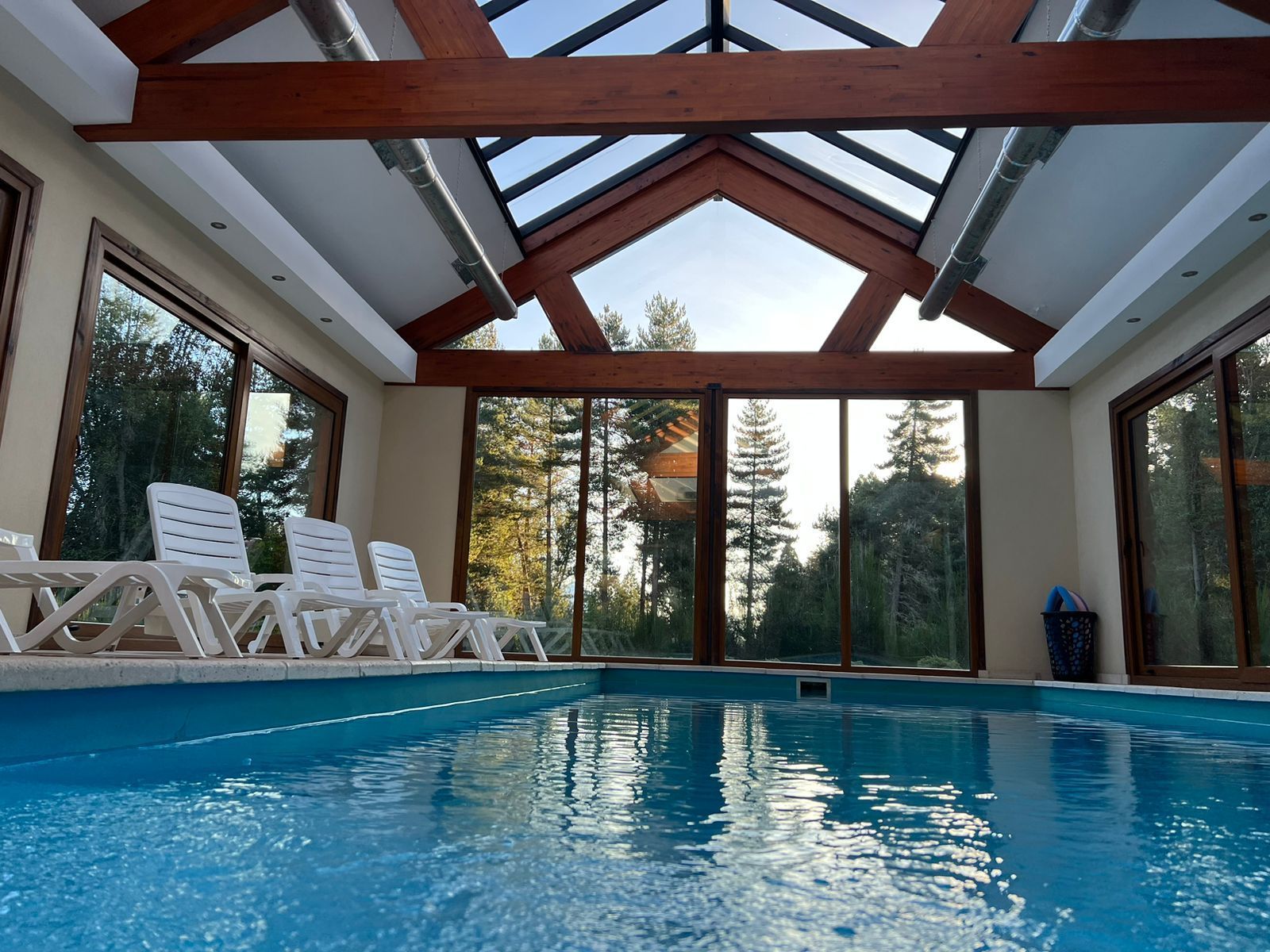 Piscina cubierta con techo de cristal, vigas de madera y tumbonas junto a una ventana con vistas a un bosque.