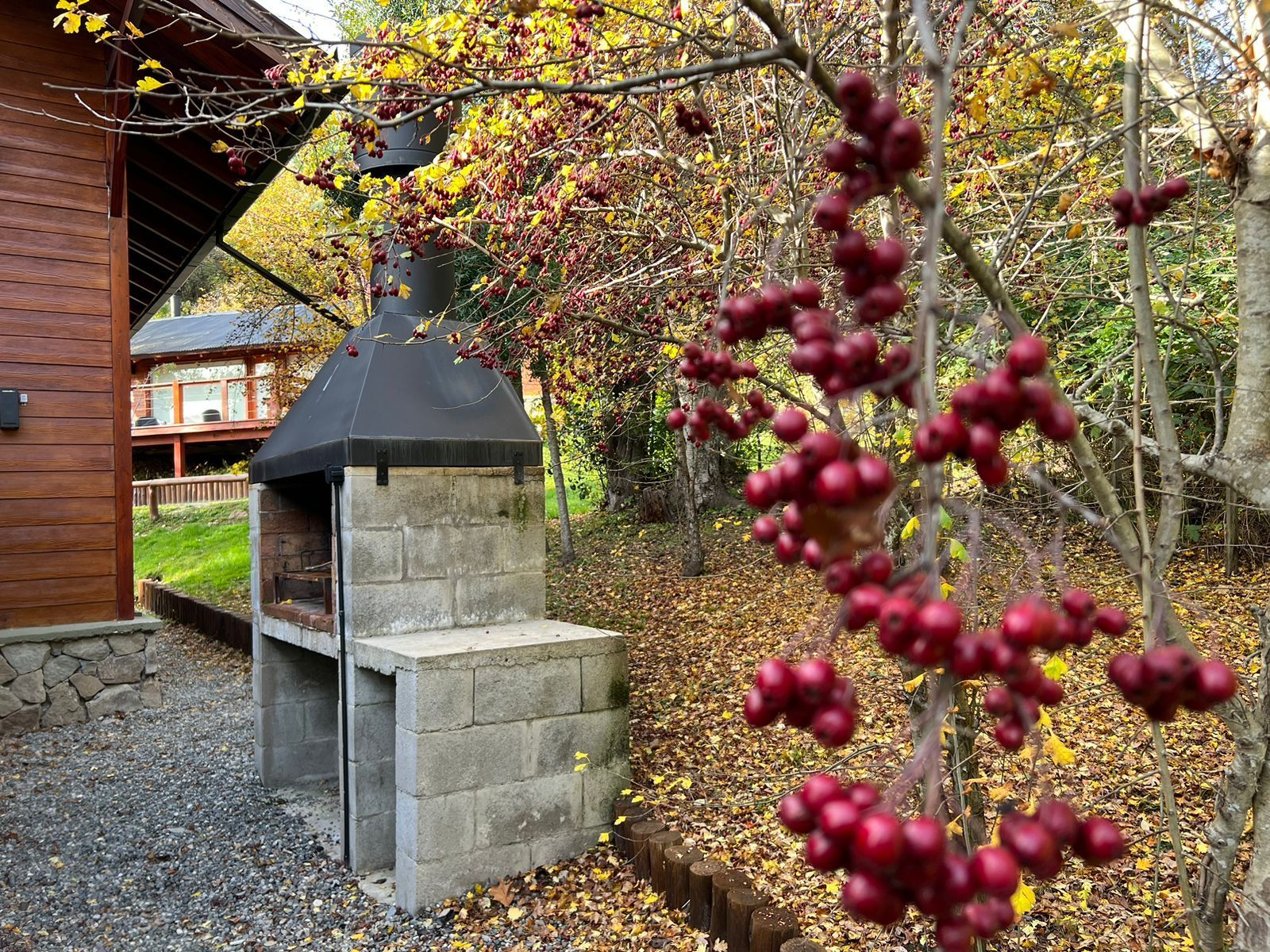 Una parrilla de piedra para exteriores se alza sobre un sendero de grava cerca de una cabaña de madera, enmarcada por una rama de bayas otoñales de color rojo brillante.