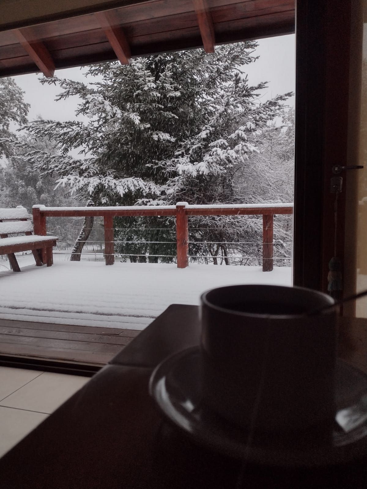 Una taza de café reposa sobre una mesa con vistas a una terraza cubierta de nieve y a pinos durante una nevada.