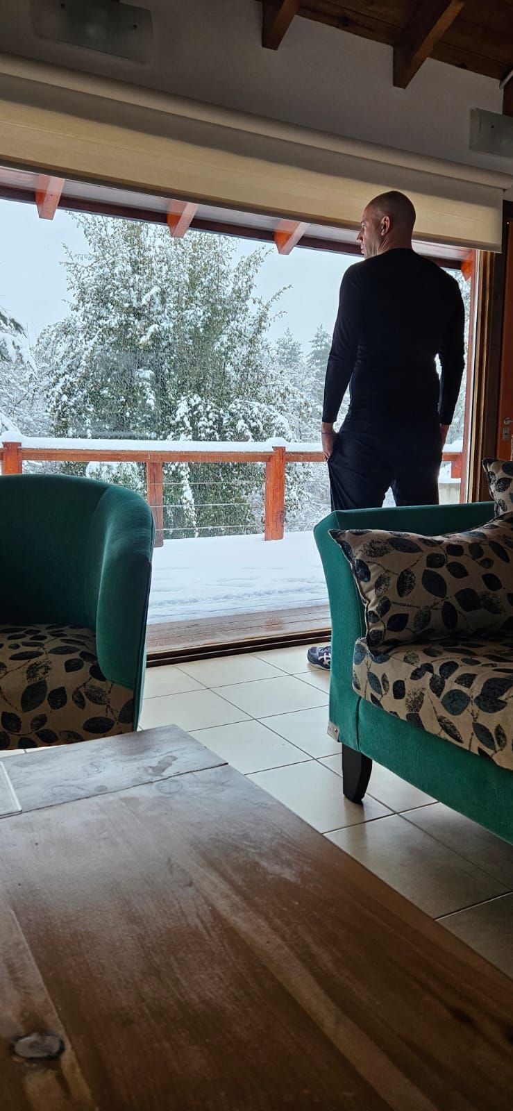 Una persona vestida con ropa oscura se encuentra dentro de una habitación, mirando hacia un patio cubierto de nieve a través de una gran puerta corrediza abierta.