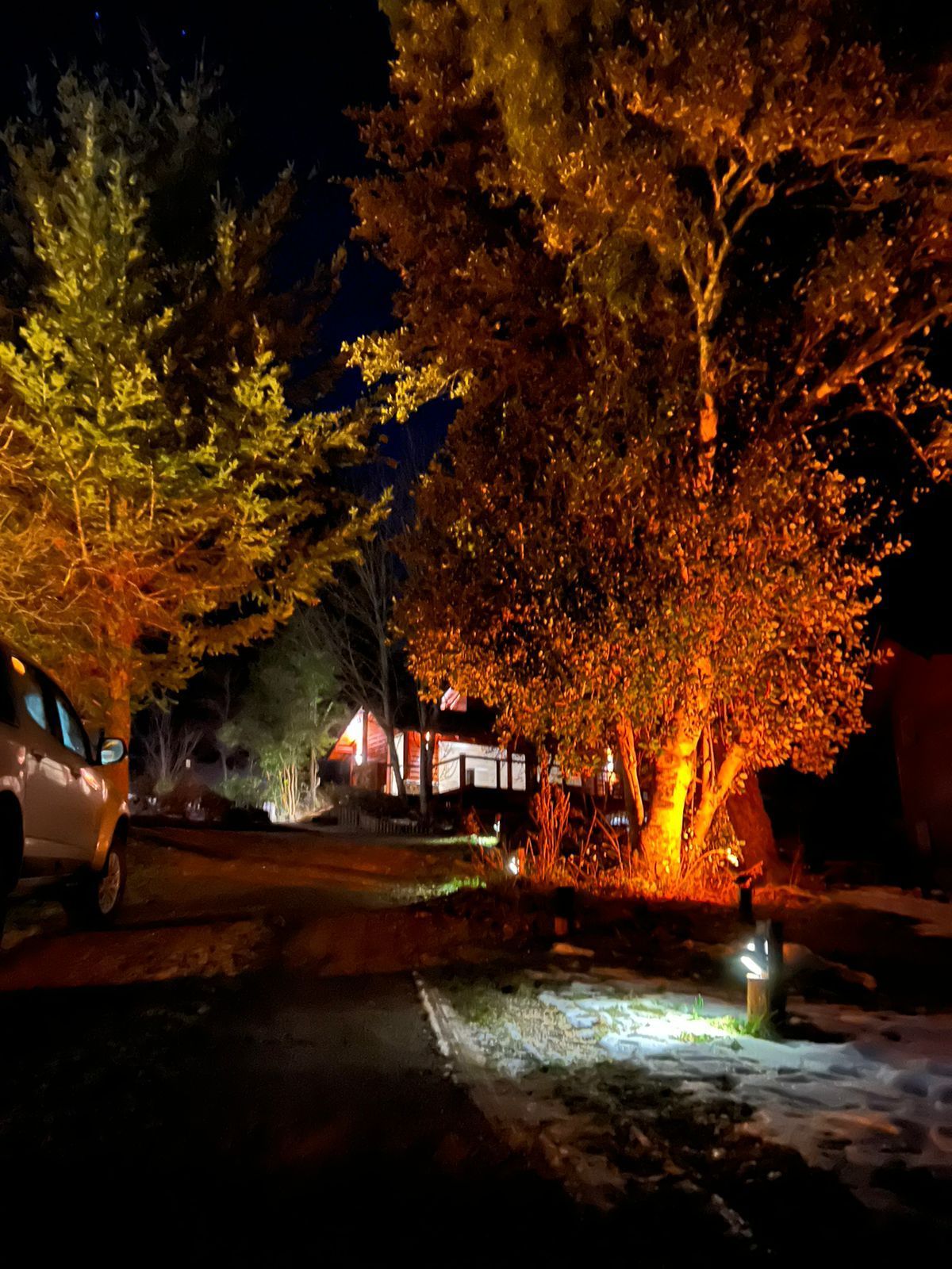Una casa y árboles iluminados por la noche, con cálidas luces doradas que iluminan el follaje y un coche aparcado cerca.