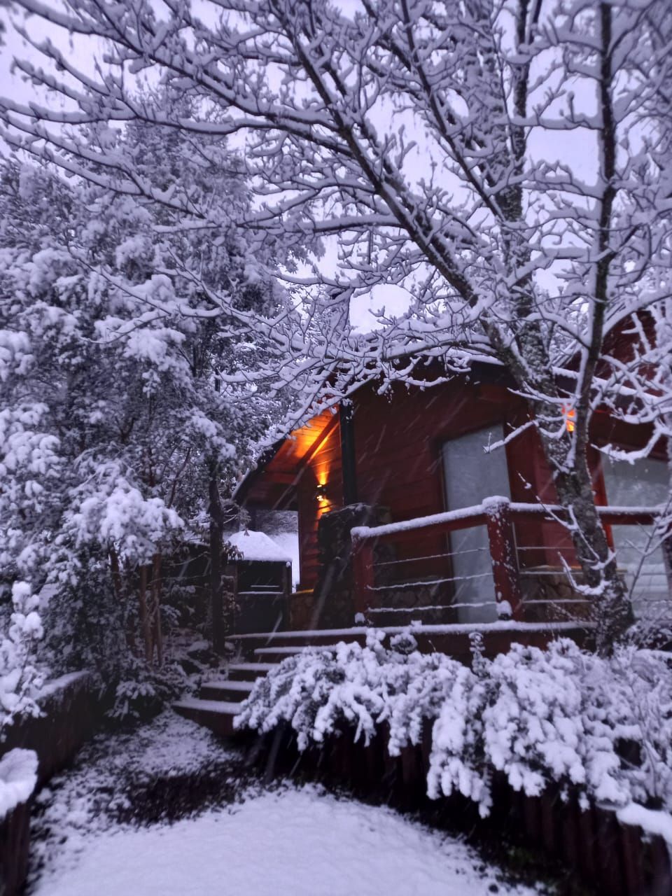Una acogedora cabaña roja se alza enclavada entre árboles cubiertos de nieve durante un crepúsculo invernal.