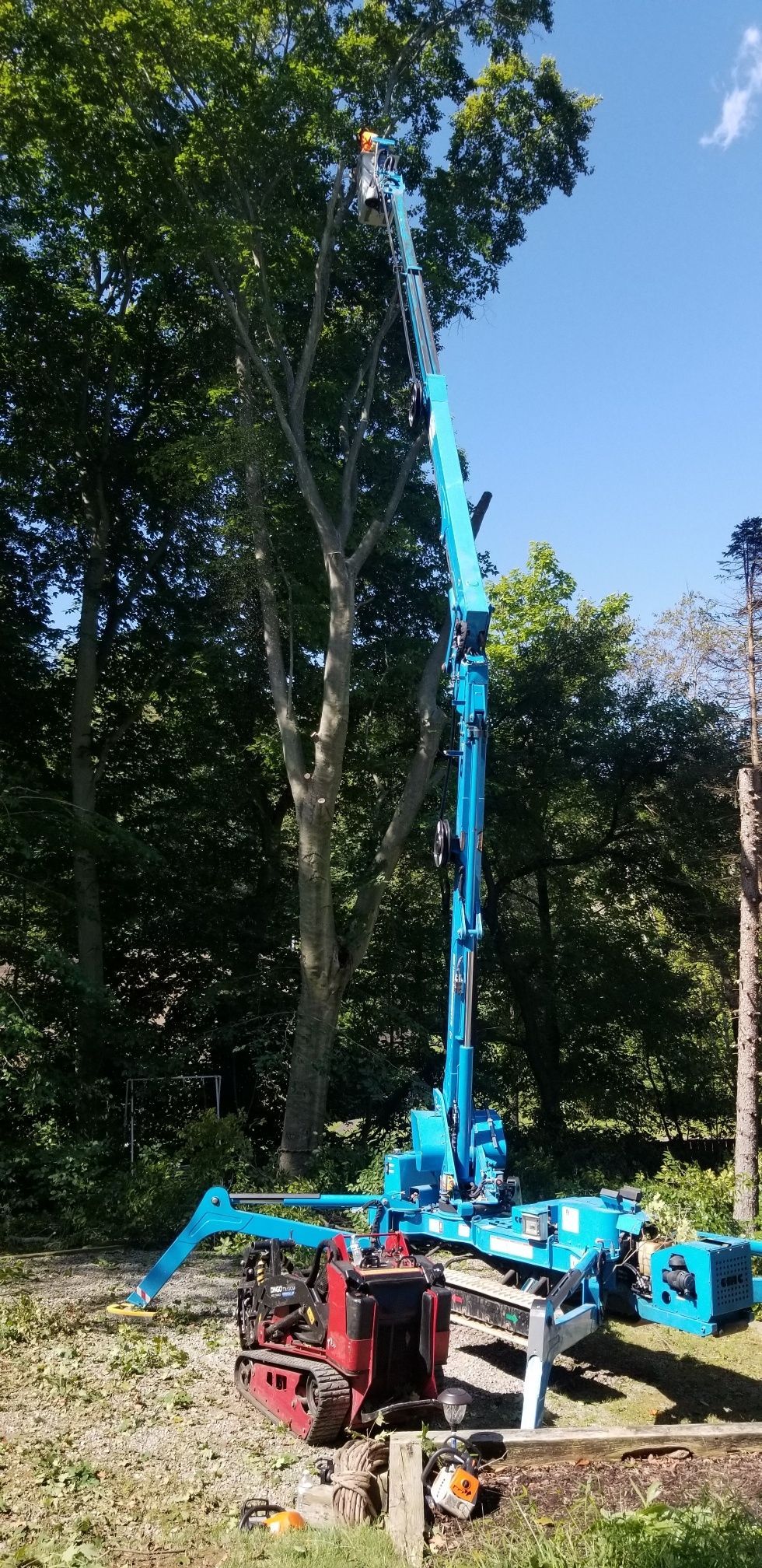 Tree Trimming Solutions - Greater Pitt Tree Service LLC