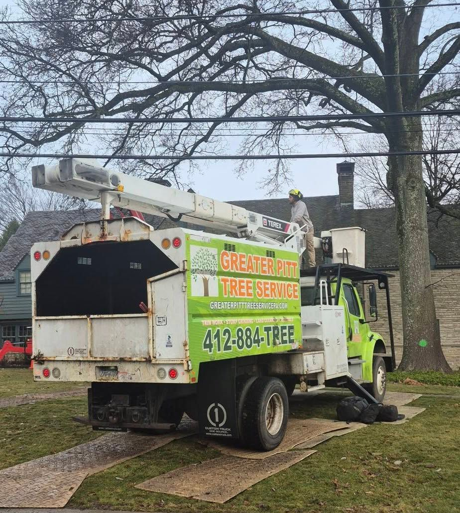 Greater Pitt Tree Service Truck