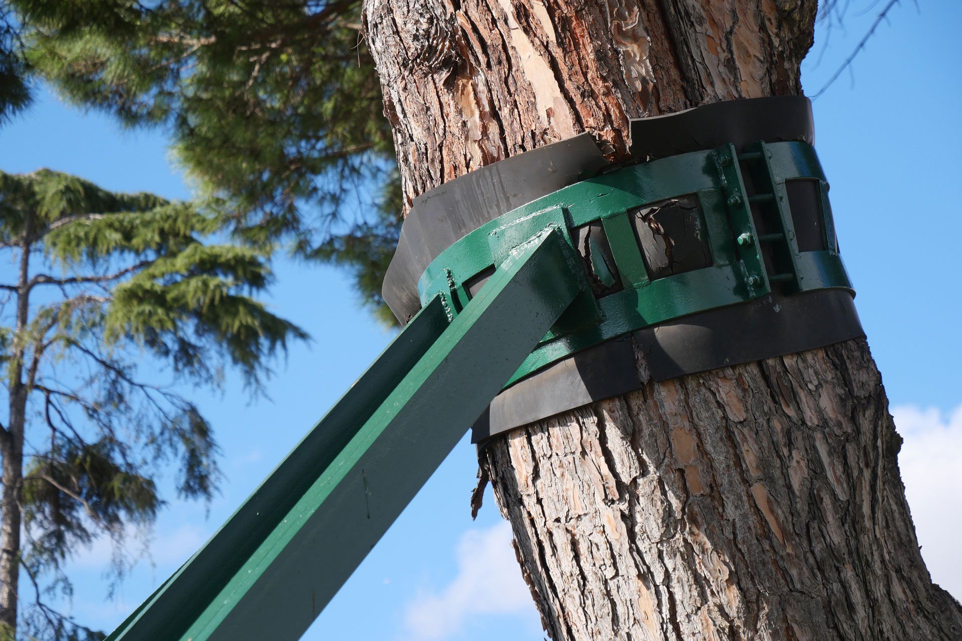 Tree Support System - Greater Pitt Tree Service LLC Tree Support System - Greater Pitt Tree Service LLC