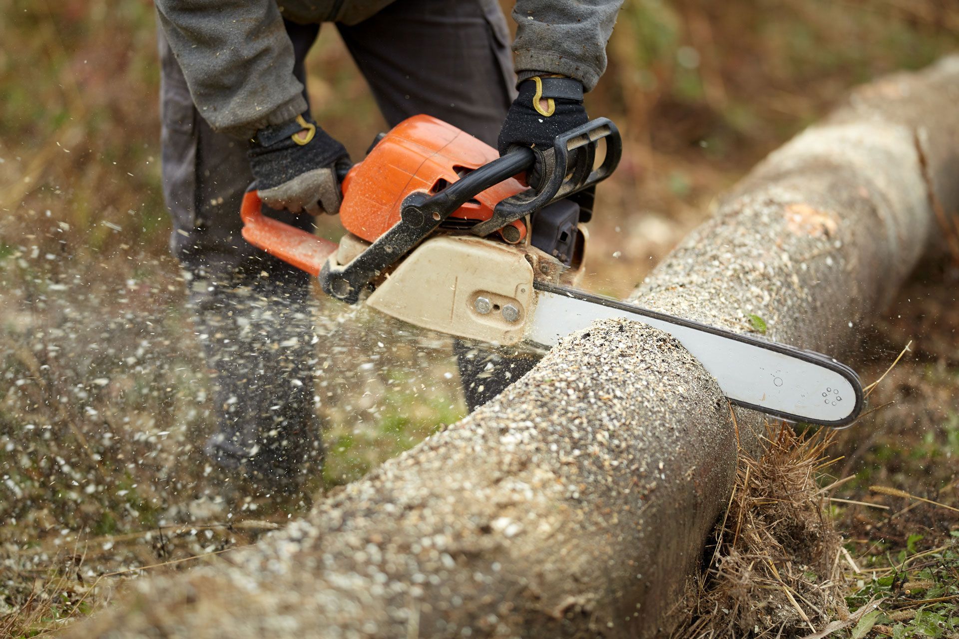 Tree Cutting - Greater Pitt Tree Service LLC Tree Cutting - Greater Pitt Tree Service LLC