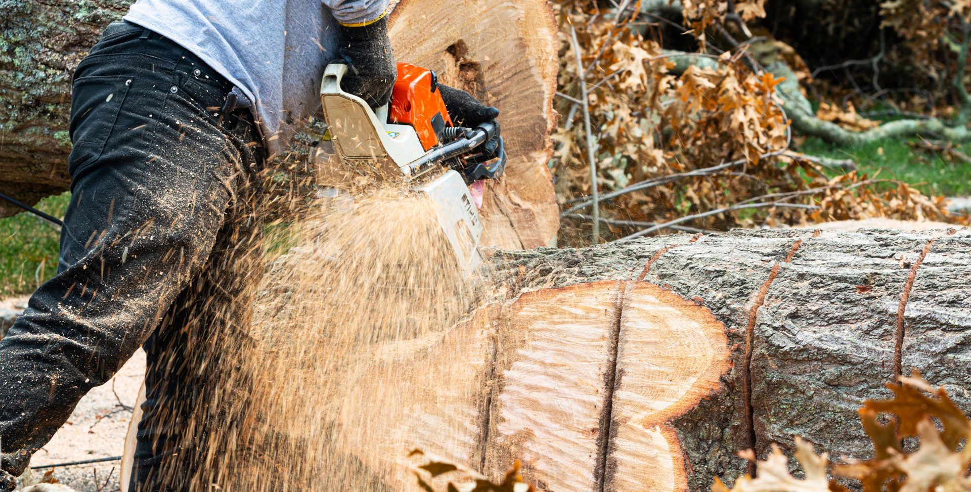 Tree Cutting Services - Greater Pitt Tree Service LLC
