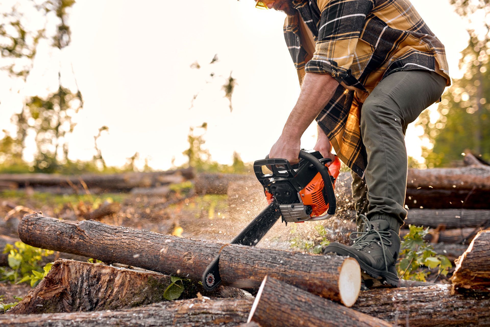 Lumberjack cutting a log with an orange chainsaw in a forest. Lumberjack cutting a log with an orange chainsaw in a forest.