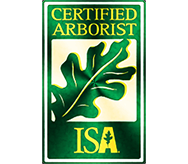 Certified Arborist