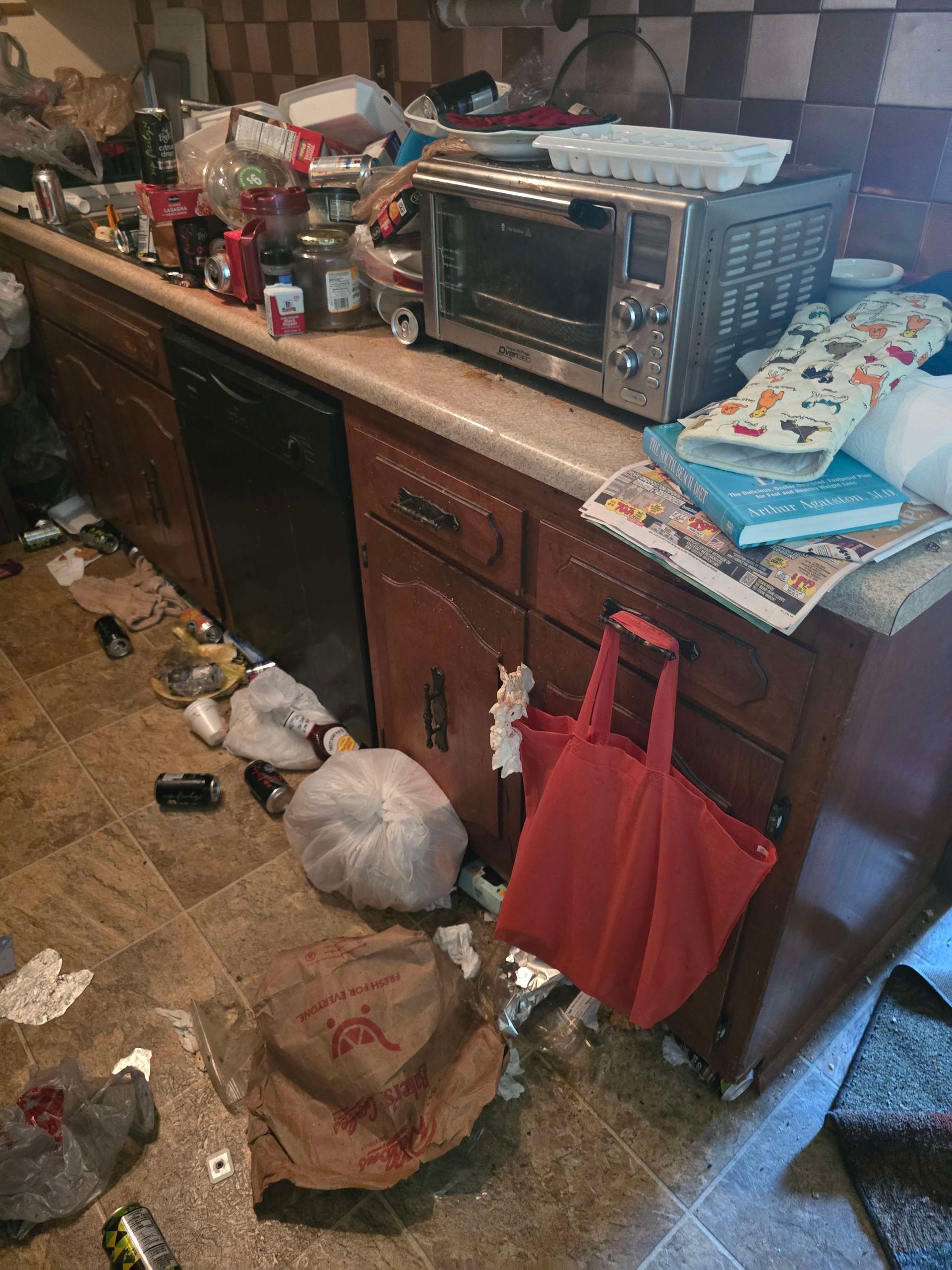 Messy Kitchen Before Professional Trash Out