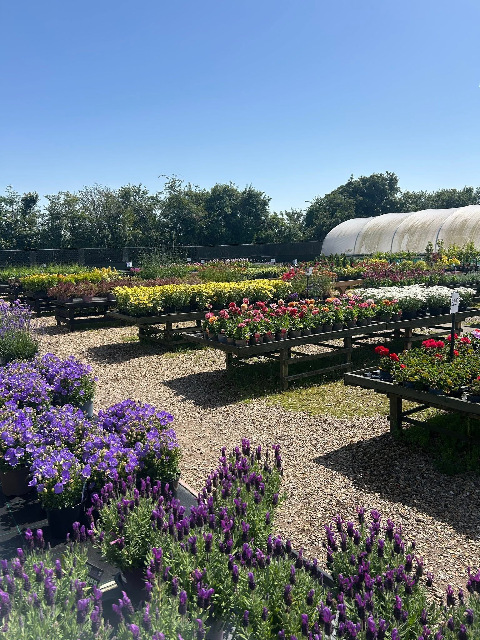 Lincolnfield Nurseries