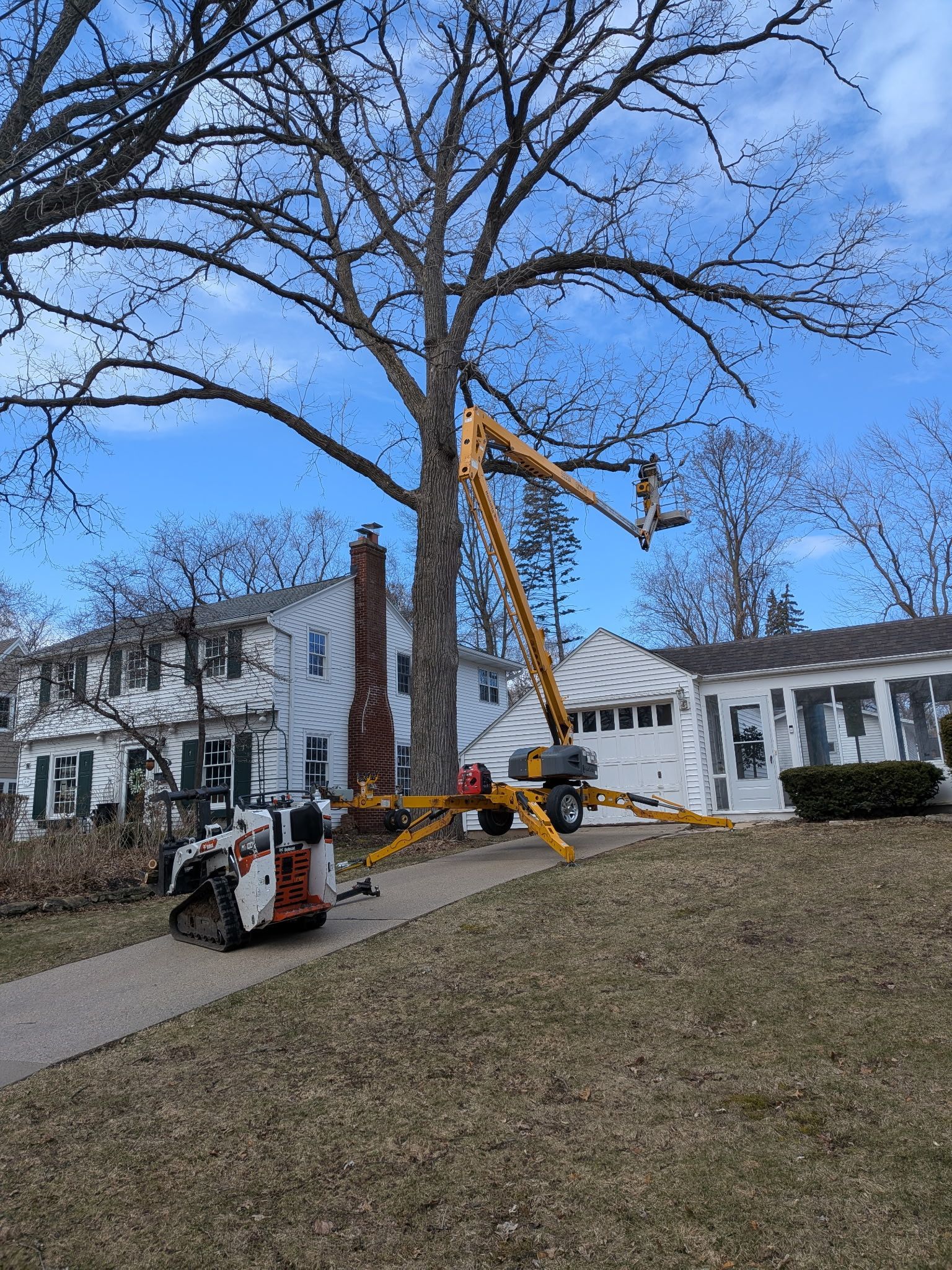 A man is cutting a tree with a crane in the woods.