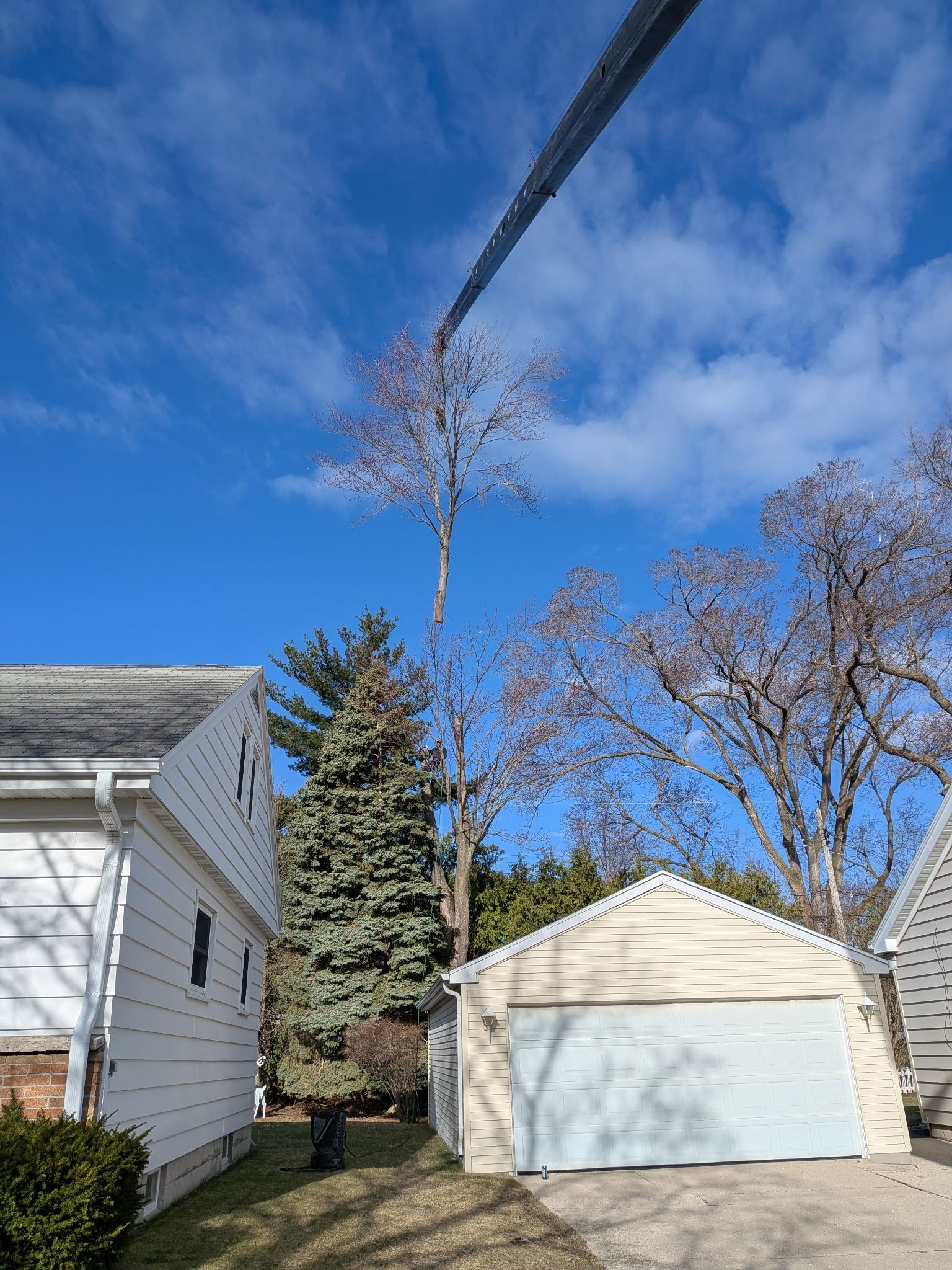 A tree is being cut down in front of a house.