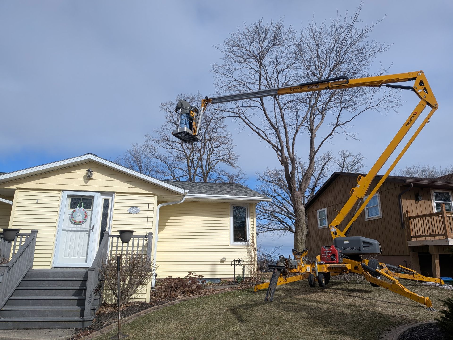 A man is cutting a tree with a crane in the woods.