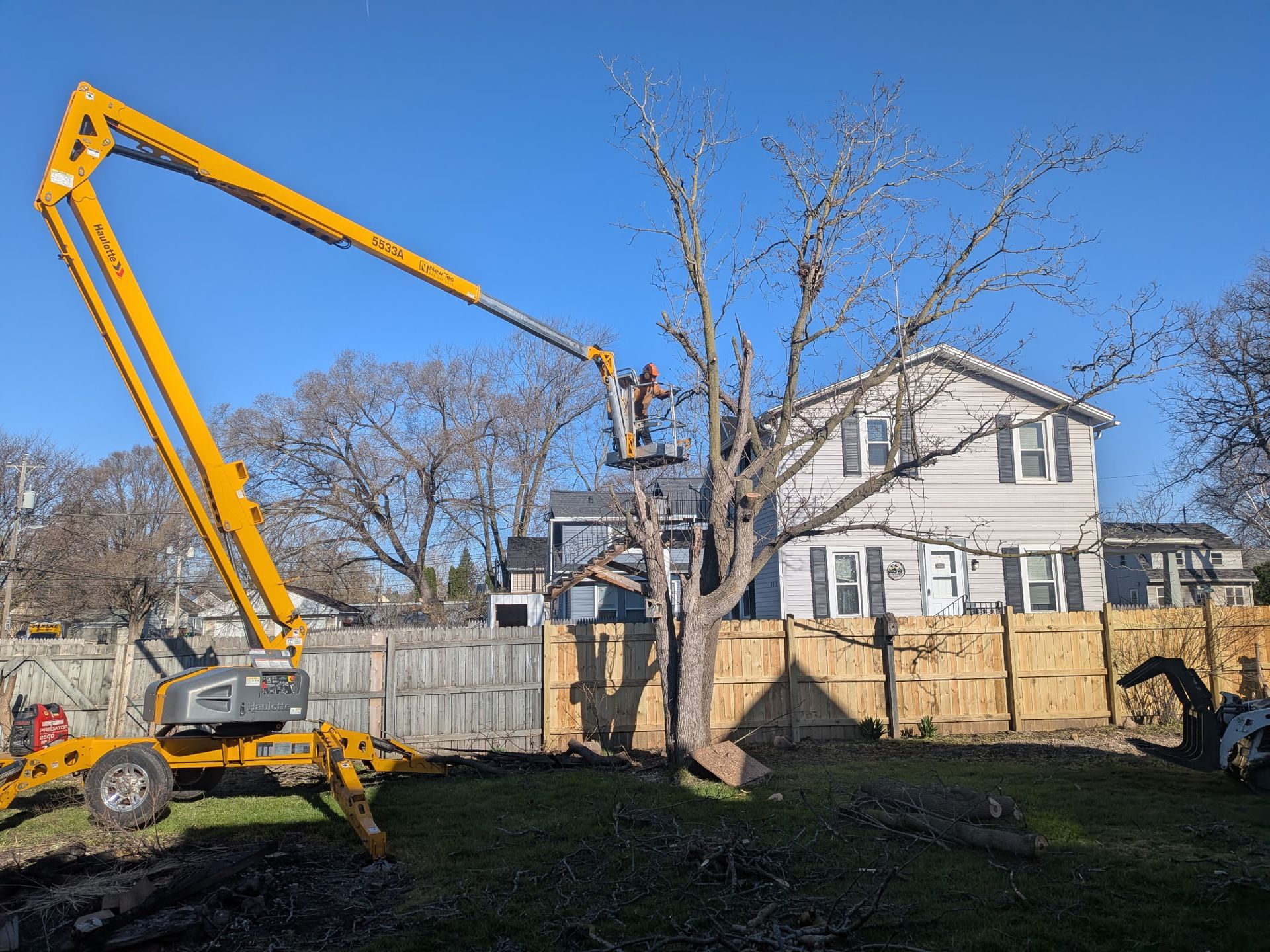A man is cutting a tree with a crane in the woods.