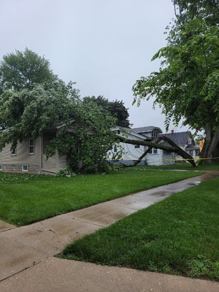 A tree has fallen on the side of a house.