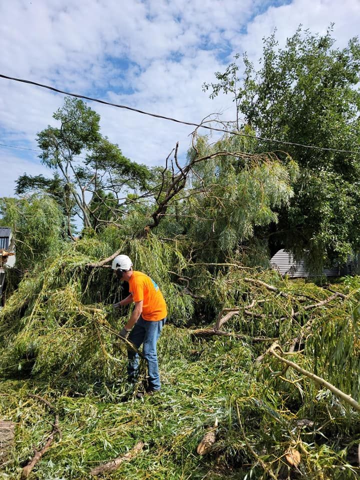 A man is standing in front of a pile of fallen trees.