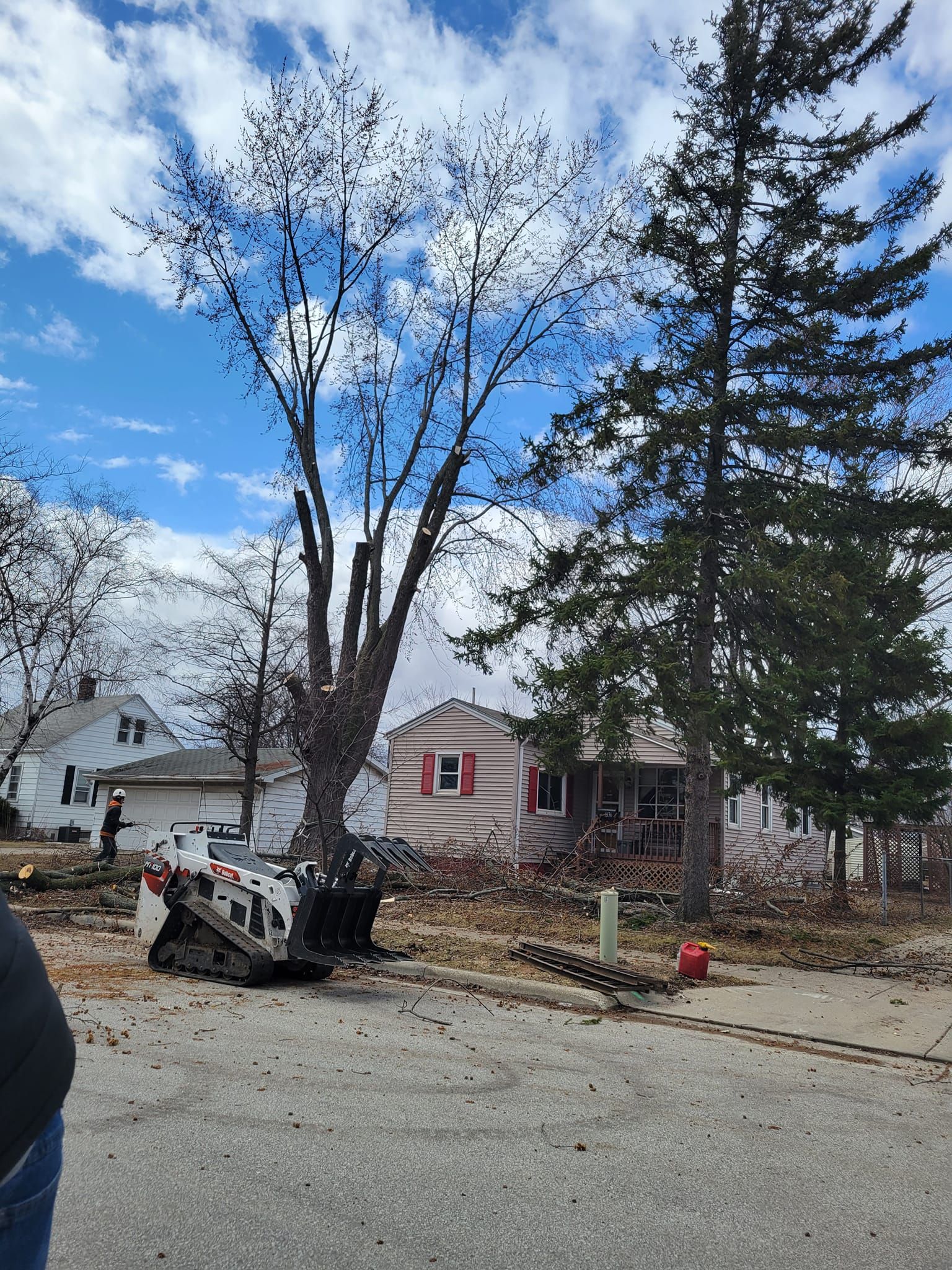 A tree is being cut down in front of a house.