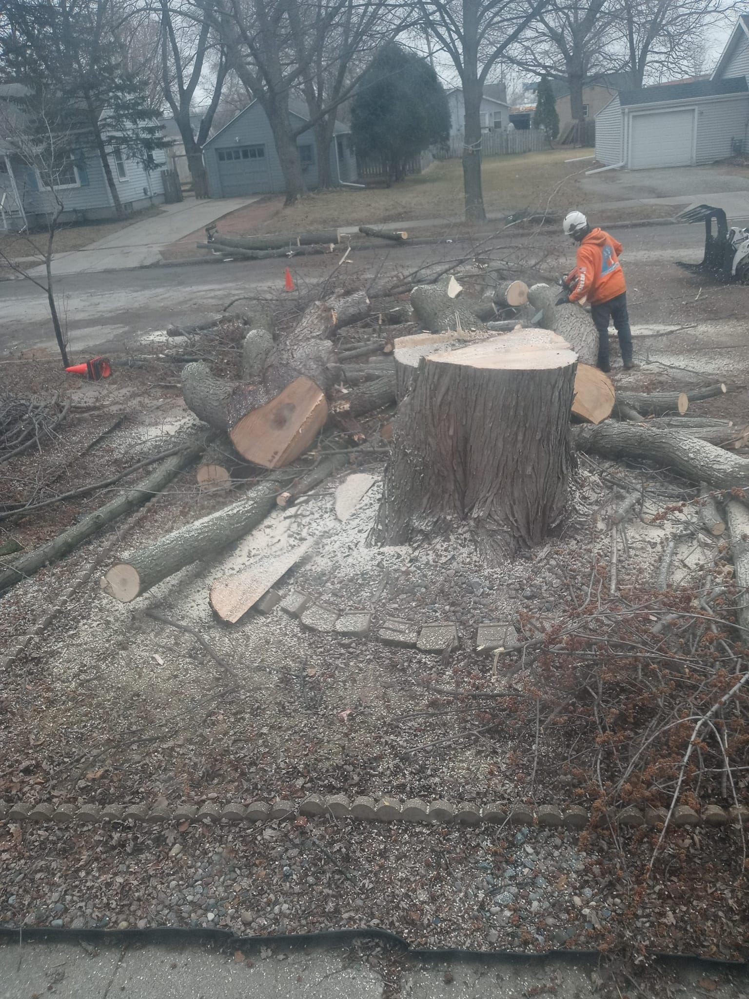A man is cutting a tree stump with a chainsaw.