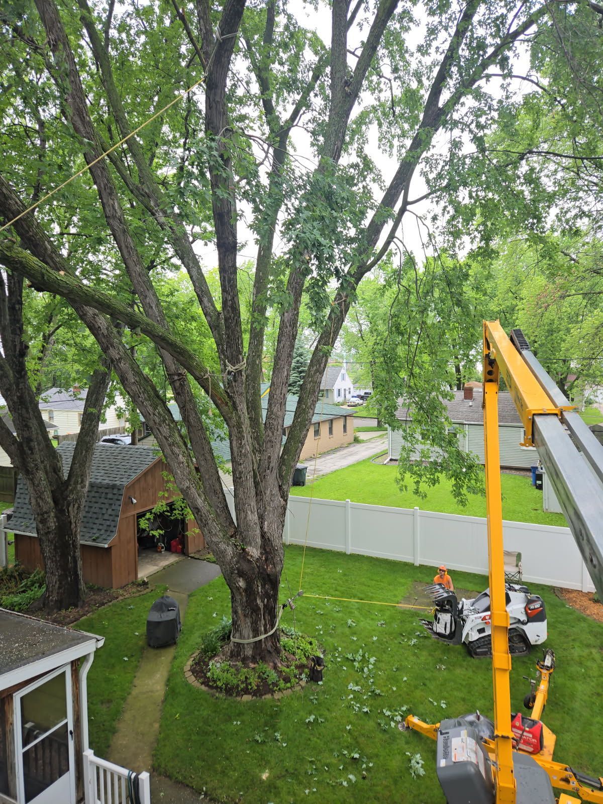 A tree is being cut down in front of a house.